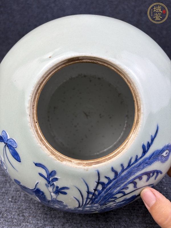 古玩陶瓷豆青釉青花加白鳳穿牡丹紋西瓜罐真品鑒賞圖
