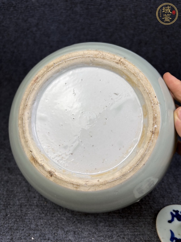 古玩陶瓷豆青釉青花加白鳳穿牡丹紋西瓜罐真品鑒賞圖