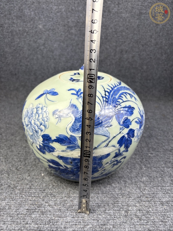 古玩陶瓷豆青釉青花加白鳳穿牡丹紋西瓜罐真品鑒賞圖