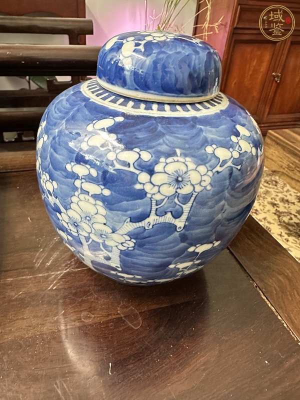 古玩陶瓷青花冰梅蓋罐真品鑒賞圖