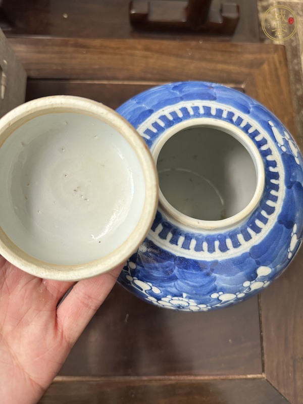 古玩陶瓷青花冰梅蓋罐真品鑒賞圖