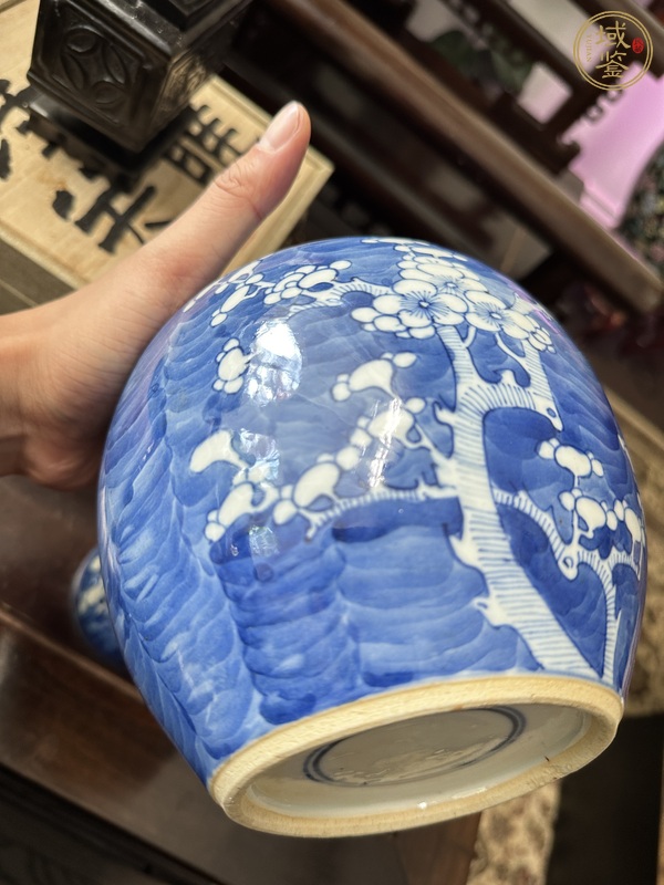 古玩陶瓷青花冰梅蓋罐真品鑒賞圖