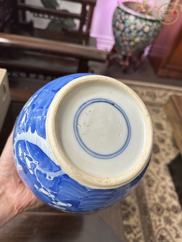 古玩陶瓷青花冰梅蓋罐真品鑒賞圖