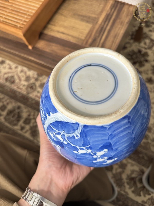 古玩陶瓷青花冰梅蓋罐真品鑒賞圖