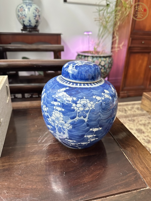 古玩陶瓷青花冰梅蓋罐真品鑒賞圖