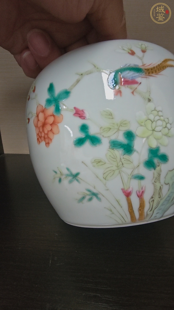 古玩陶瓷花鳥紋粉彩罐真品鑒賞圖