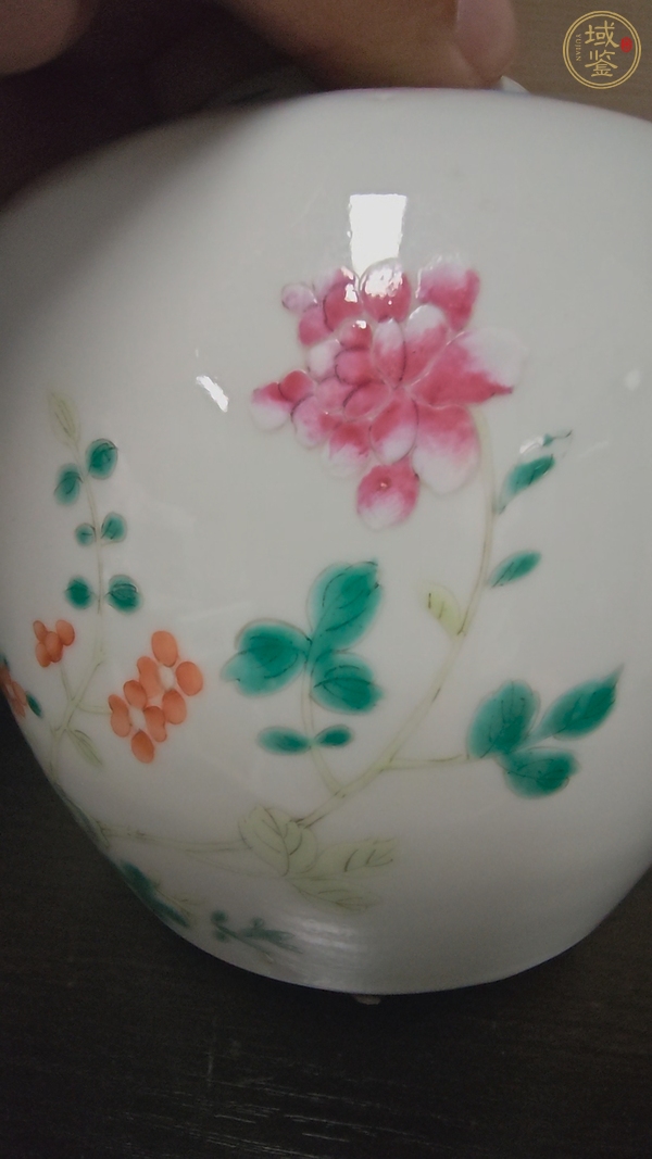 古玩陶瓷花鳥紋粉彩罐真品鑒賞圖