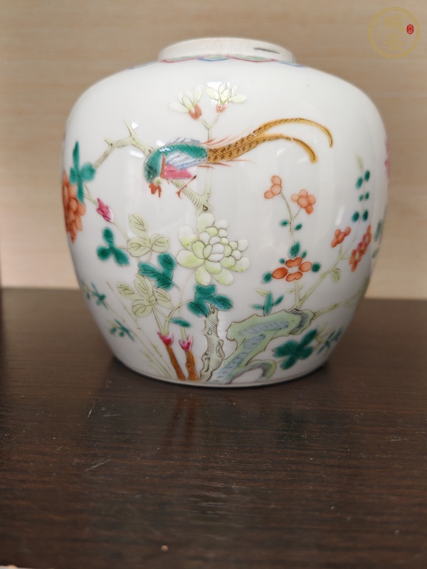 古玩陶瓷花鳥紋粉彩罐真品鑒賞圖