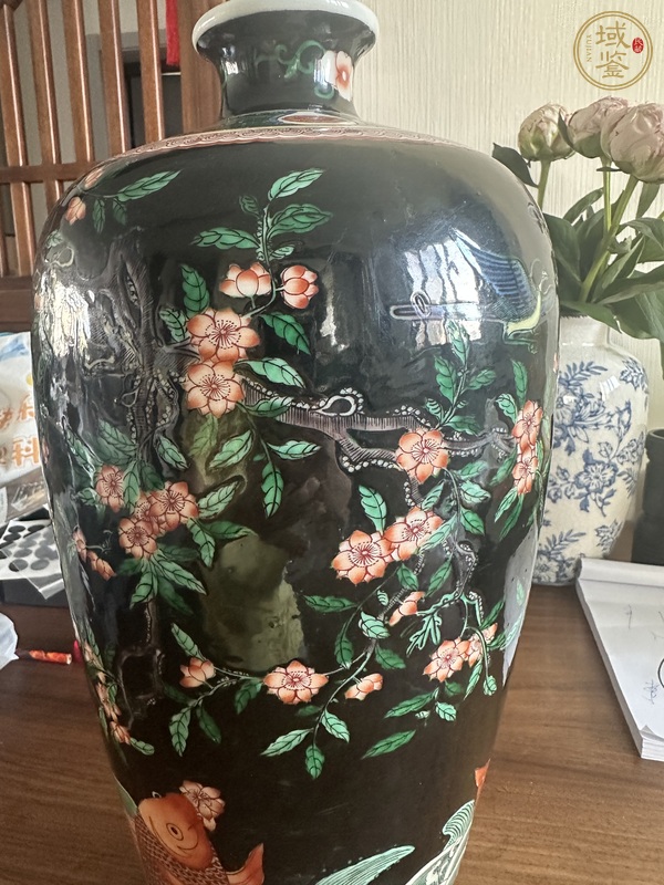 古玩陶瓷黑地粉彩花鳥梅瓶真品鑒賞圖