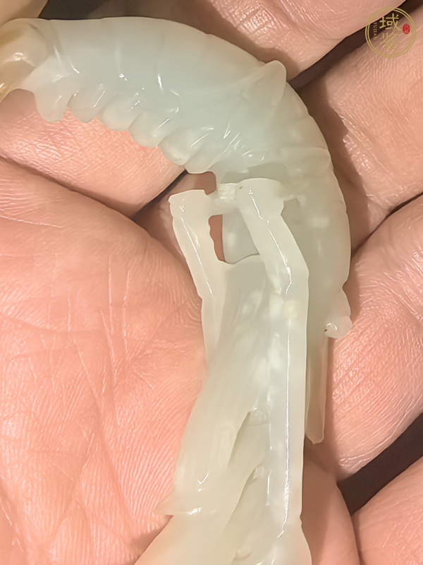 古玩玉器玉蝦真品鑒賞圖