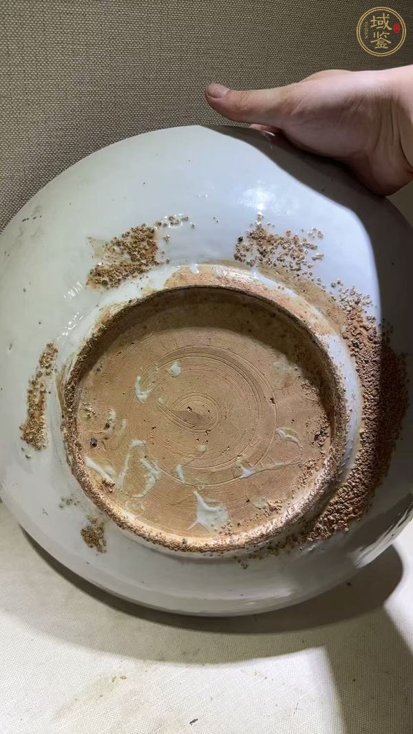 古玩晚明漳州窯五彩大盤真品鑒賞圖