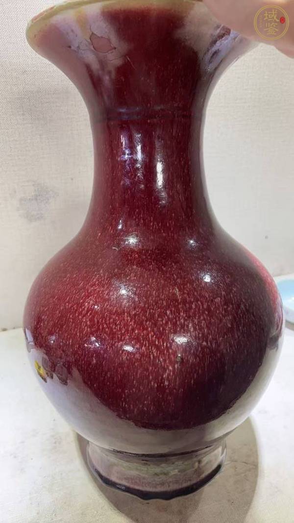 古玩陶瓷郎紅釉瓶真品鑒賞圖