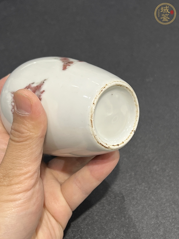 古玩釉里紅魚紋瓶真品鑒賞圖
