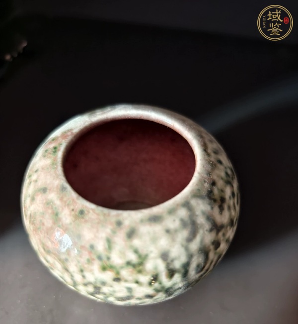 古玩陶瓷豇豆紅釉水盂真品鑒賞圖