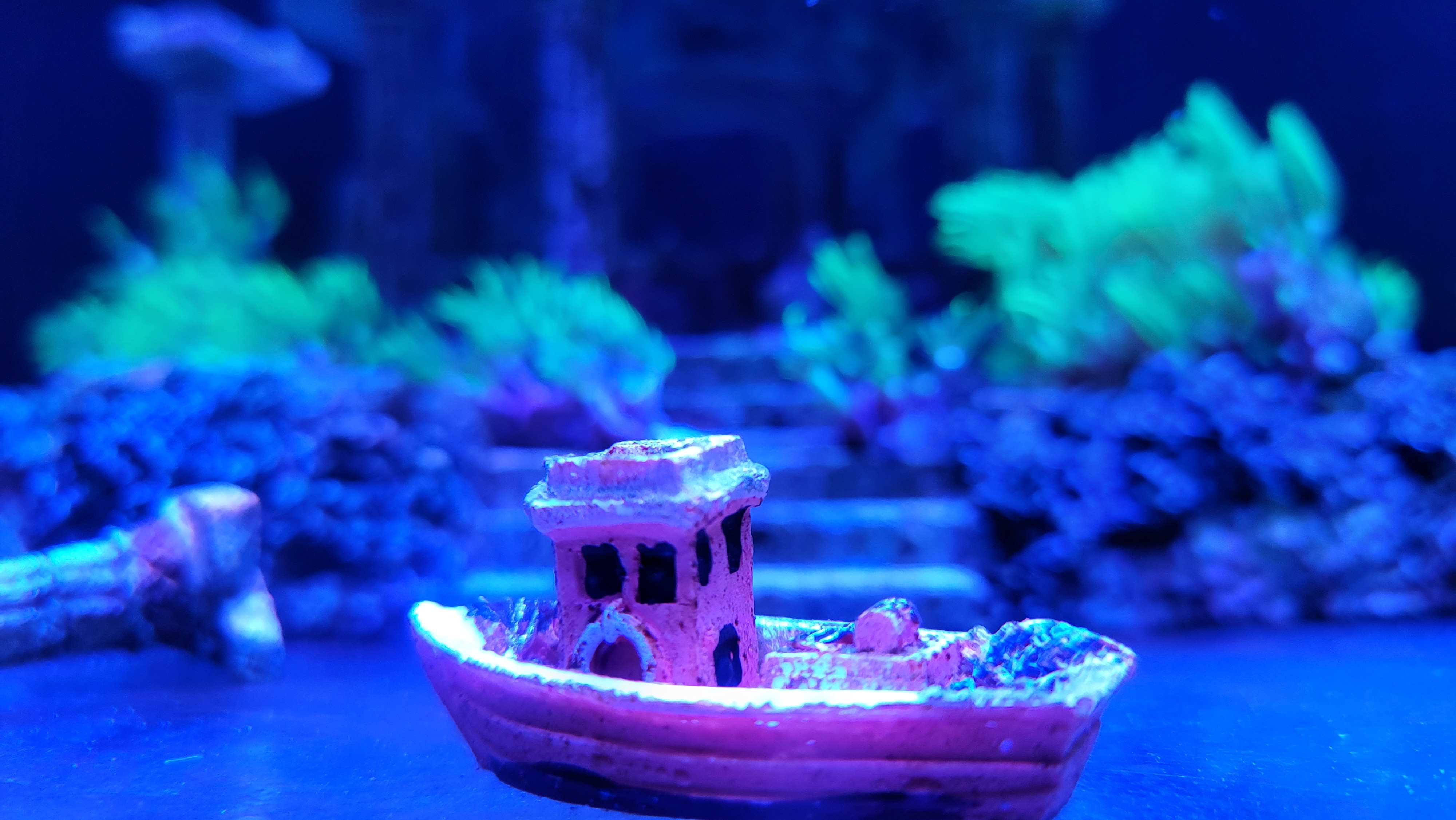 域鑒自問心如何的店鋪