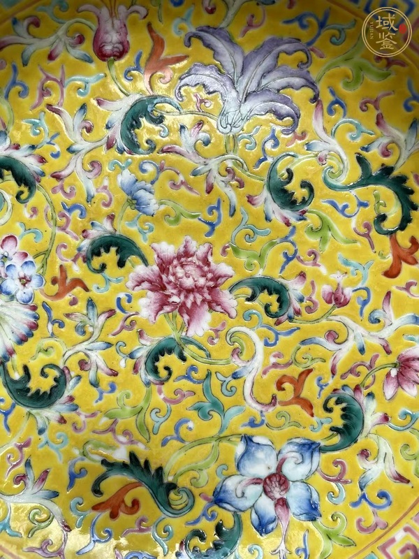 古玩陶瓷花卉紋粉彩盤真品鑒賞圖