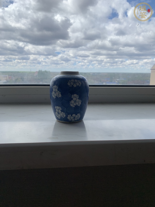 古玩陶瓷青花留白冰梅紋罐真品鑒賞圖