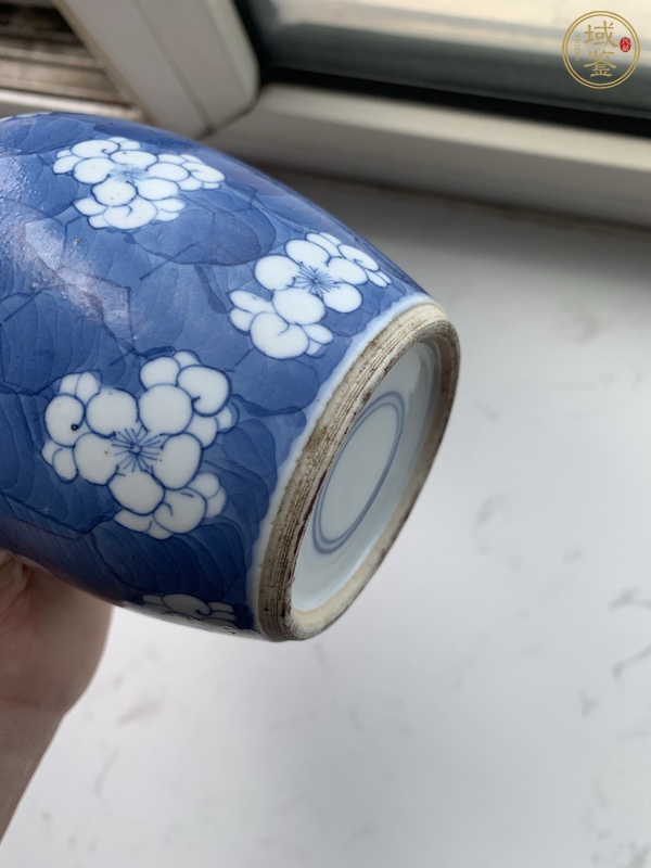 古玩陶瓷青花留白冰梅紋罐真品鑒賞圖