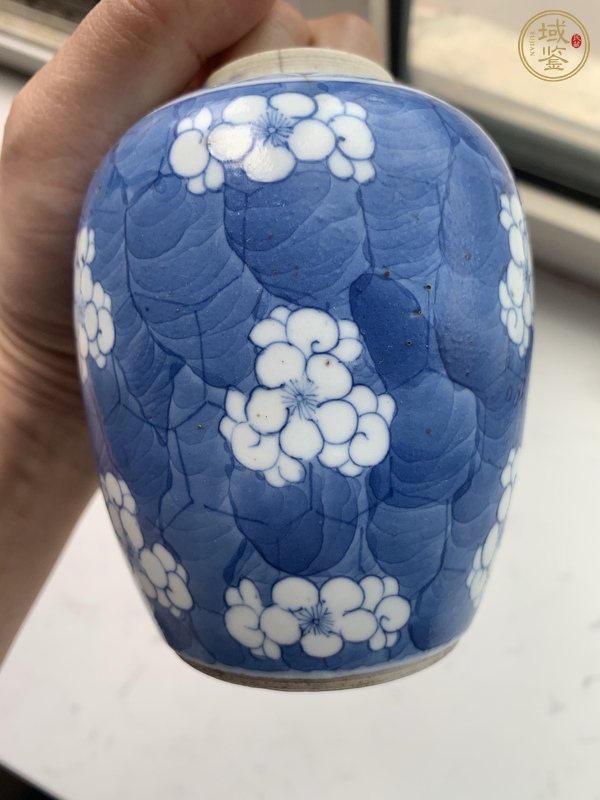 古玩陶瓷青花留白冰梅紋罐真品鑒賞圖