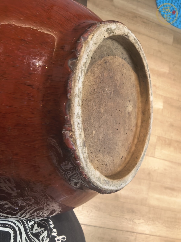 古玩陶瓷郎紅釉琵琶尊真品鑒賞圖