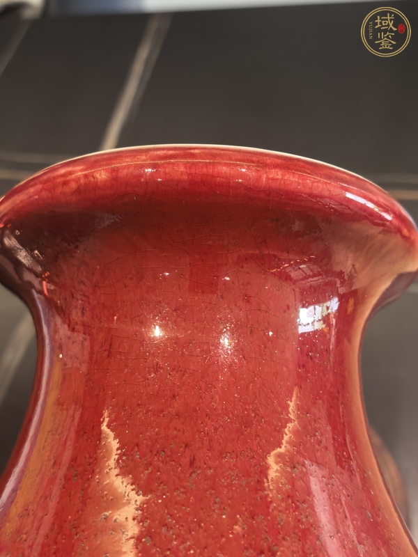 古玩陶瓷郎紅釉琵琶尊真品鑒賞圖