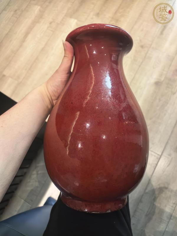 古玩陶瓷郎紅釉尊瓶真品鑒賞圖
