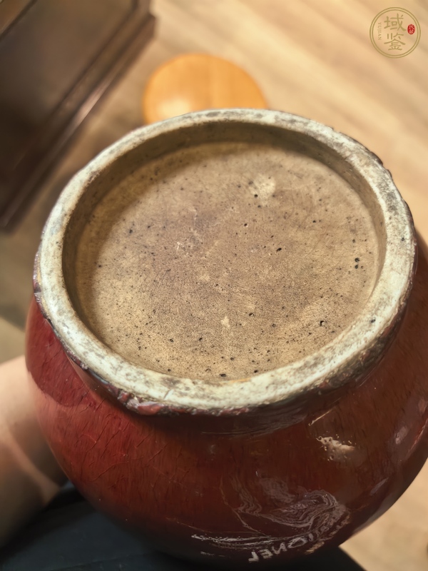 古玩陶瓷郎紅釉琵琶尊真品鑒賞圖