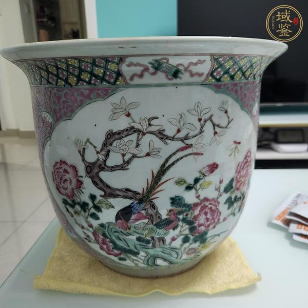 古玩陶瓷粉彩錦雞花卉紋花盆真品鑒賞圖