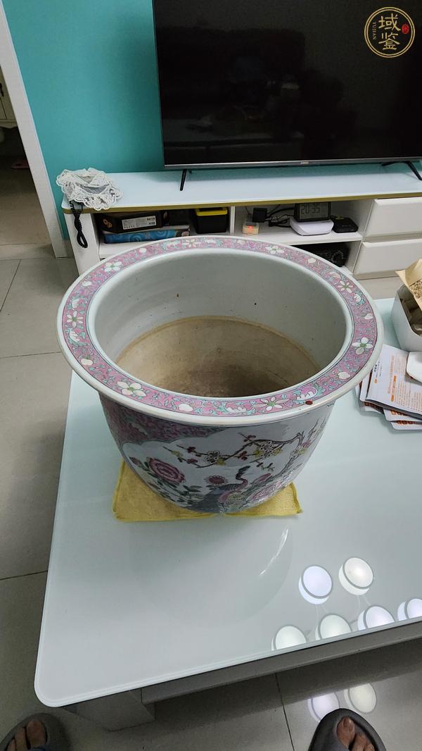 古玩陶瓷粉彩錦雞花卉紋花盆真品鑒賞圖