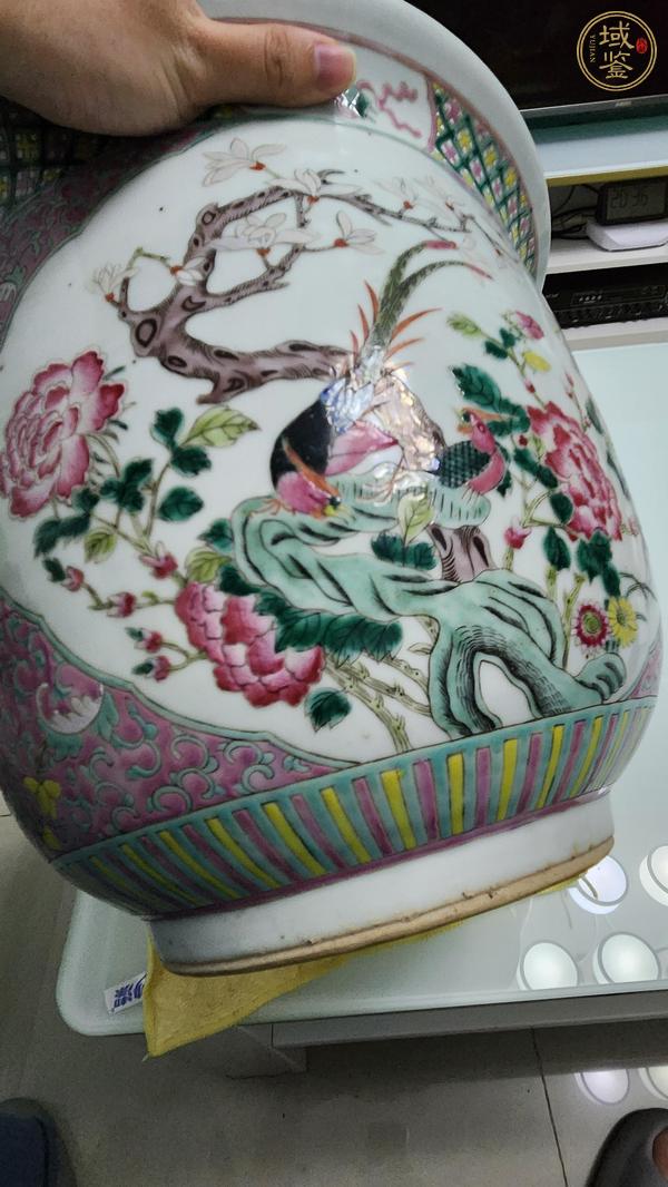 古玩陶瓷粉彩錦雞花卉紋花盆真品鑒賞圖