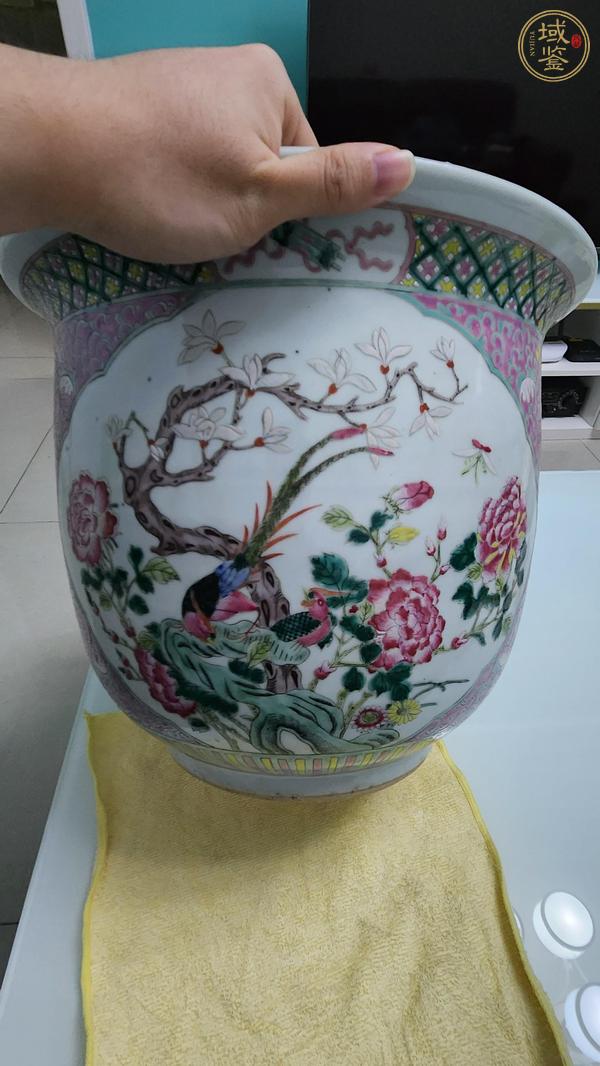 古玩陶瓷粉彩錦雞花卉紋花盆真品鑒賞圖