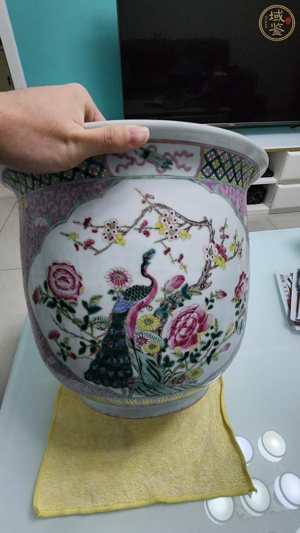 古玩陶瓷粉彩錦雞花卉紋花盆真品鑒賞圖