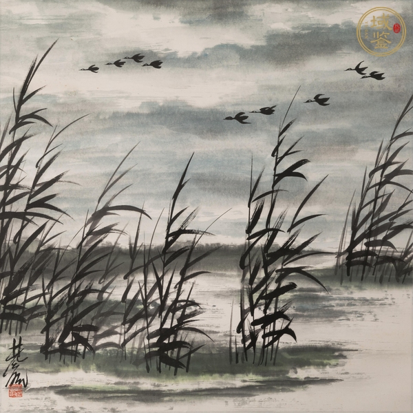古玩字畫蘆葦飛雁真品鑒賞圖
