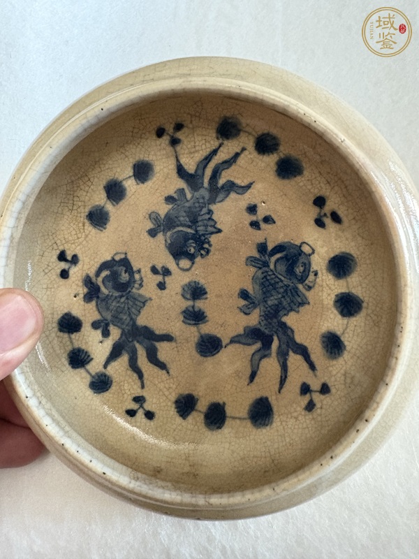 古玩清晚期 哥釉青花鐋鑼洗真品鑒賞圖