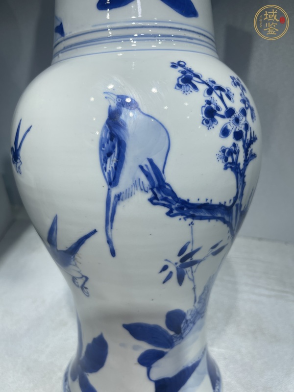 古玩陶瓷清康熙 青花花鳥紋鳳尾尊真品鑒賞圖