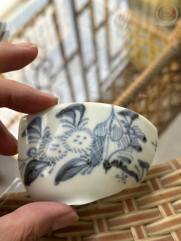 古玩陶瓷瓷片一組真品鑒賞圖