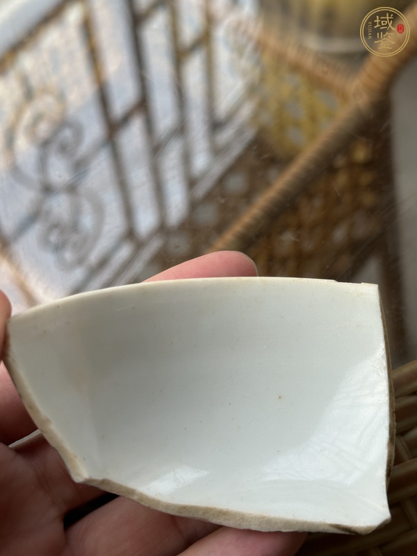 古玩陶瓷瓷片一組真品鑒賞圖
