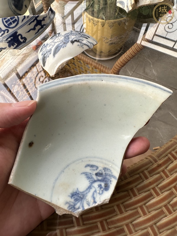 古玩陶瓷瓷片一組真品鑒賞圖