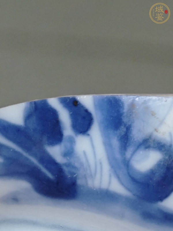 古玩陶瓷芝蘭軒制款康熙標(biāo)本真品鑒賞圖