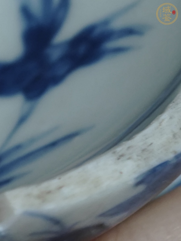 古玩陶瓷芝蘭軒制款康熙標(biāo)本真品鑒賞圖