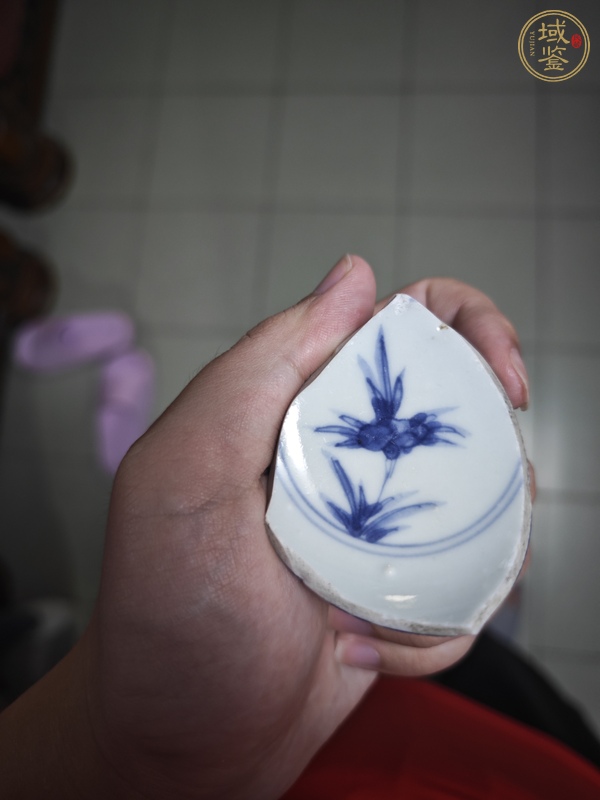 古玩芝蘭軒制款康熙標(biāo)本真品鑒賞圖