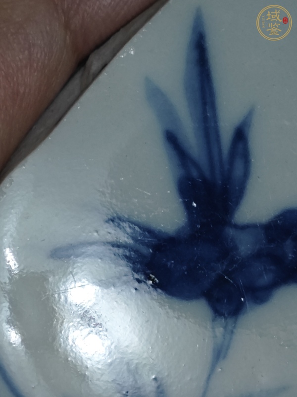 古玩陶瓷芝蘭軒制款康熙標(biāo)本真品鑒賞圖