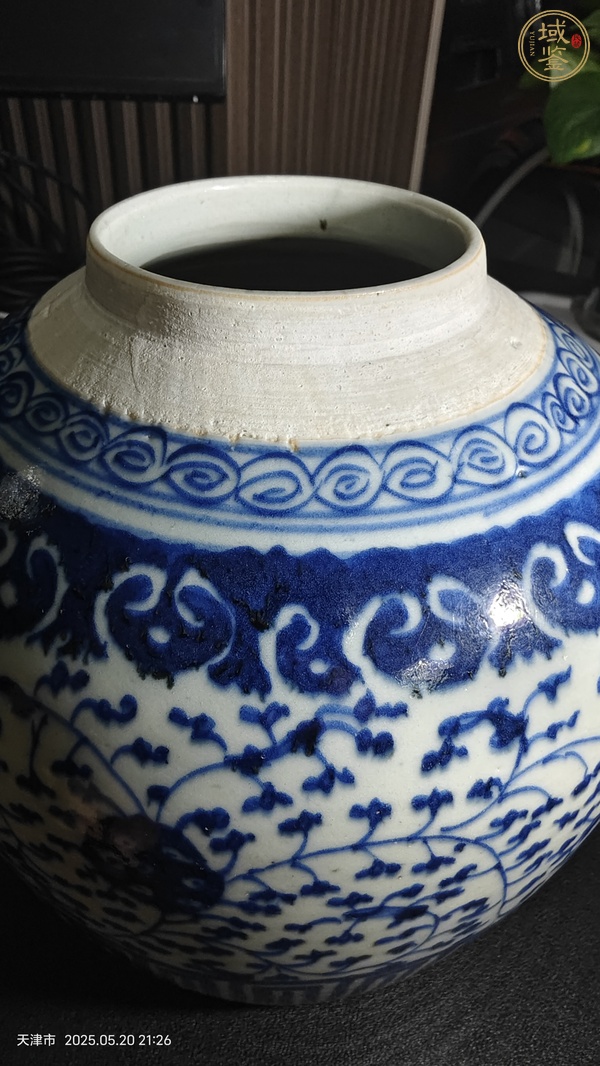 古玩陶瓷青花纏枝花卉紋罐真品鑒賞圖