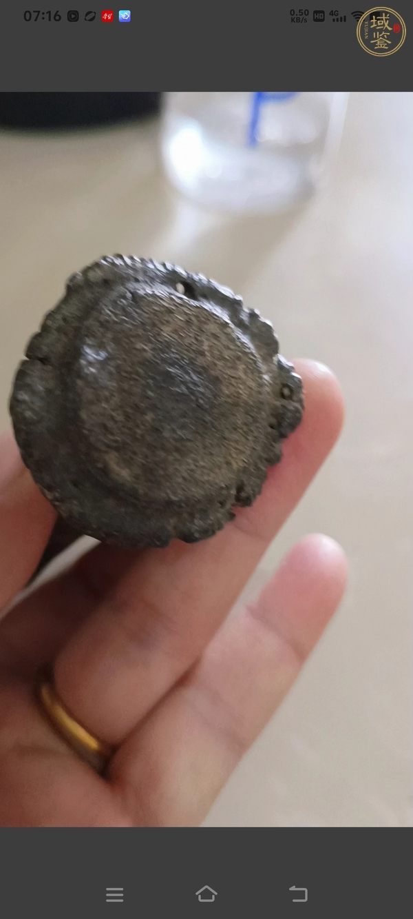 古玩鹿角化石真品鑒賞圖