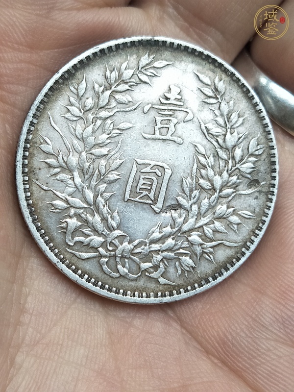古玩錢幣民國九年袁像壹圓斷筆華真品鑒賞圖