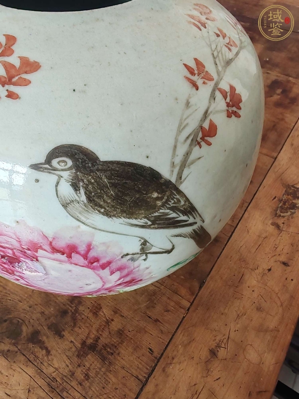 古玩陶瓷粉彩花鳥紋罐真品鑒賞圖