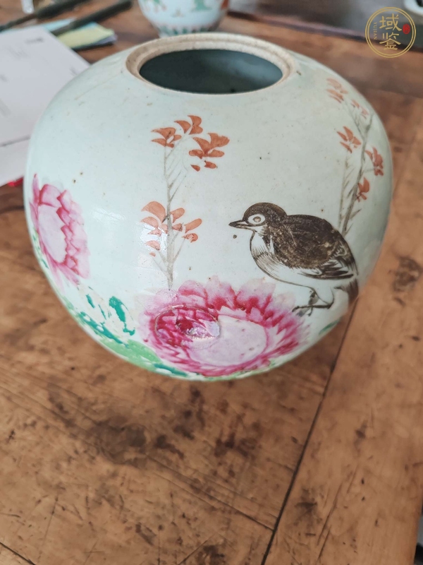 古玩陶瓷粉彩花鳥紋罐真品鑒賞圖
