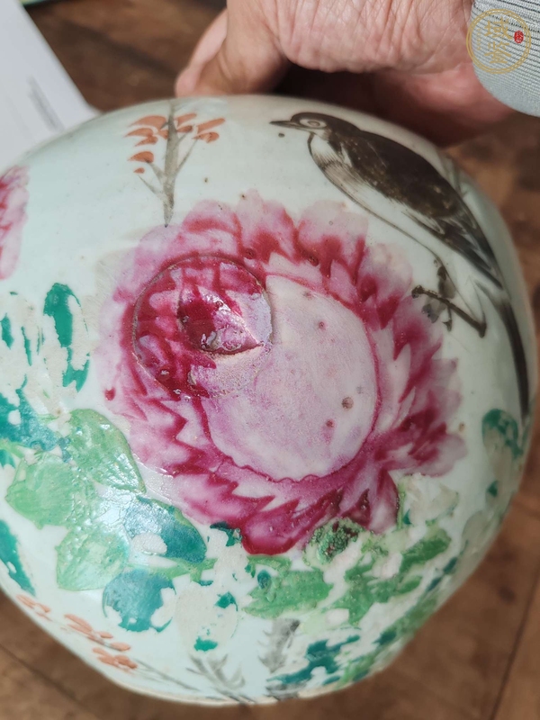 古玩陶瓷粉彩花鳥紋罐真品鑒賞圖