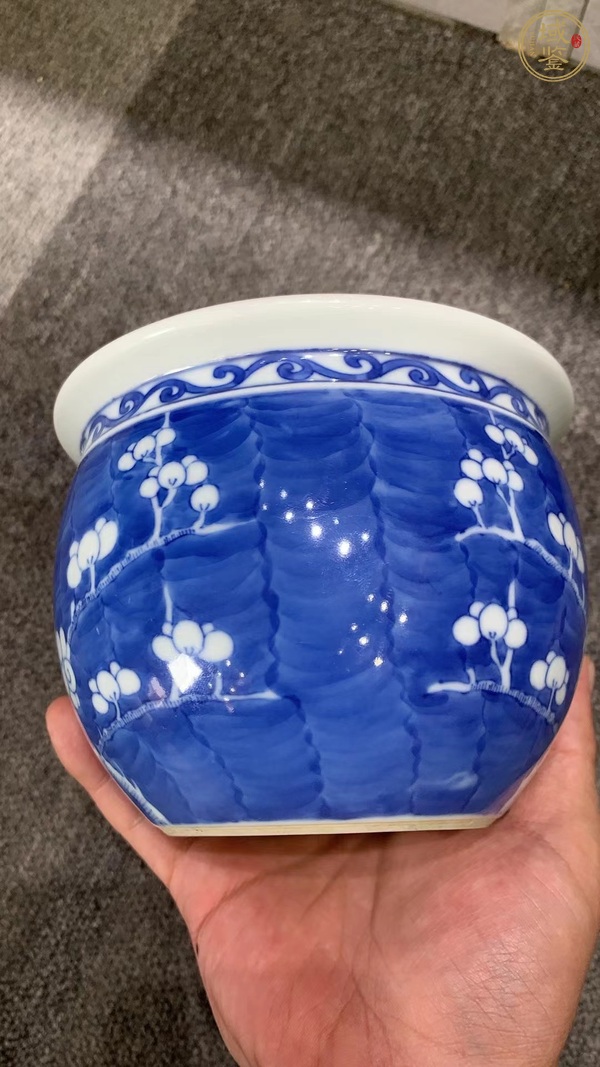 古玩陶瓷青花冰梅缸真品鑒賞圖