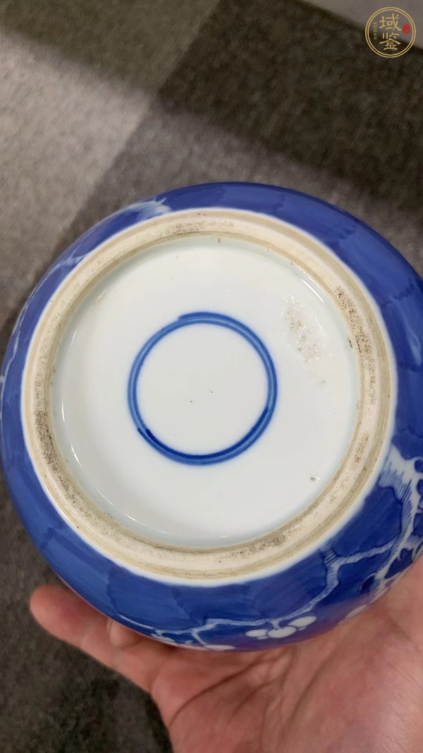 古玩陶瓷青花冰梅缸真品鑒賞圖